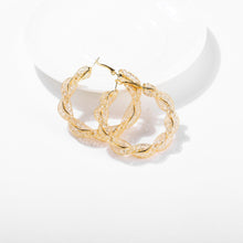 Load image into Gallery viewer, The Web Hoop Earring
